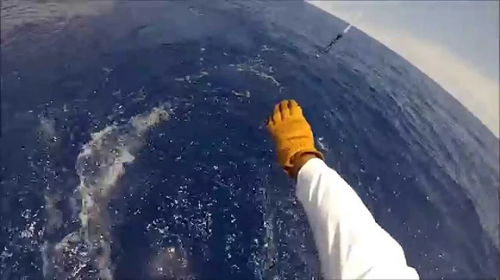 Reese and Bailey each catch a Blue Marlin
