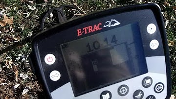 Minelab Etrac at a local park