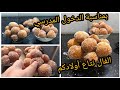 فطائر الملعقة نتاع زمان وصفة أمي الغالية حضرتهم بمناسبة الدخول المدرسي الفال نتاع أولادكم خفاف وبنان