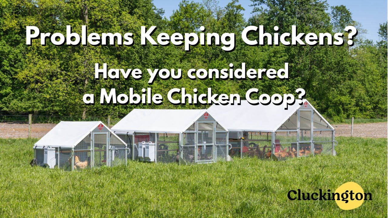 Alumi Coops Chicken Tractors - Solving Chicken Keeping Problems (Incl Fox Hotwire Kit!) (16:9)