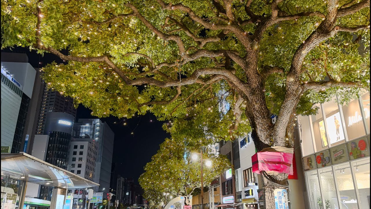 夜景を観ながらお散歩配信