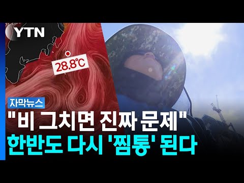 비 그치면 또...'폭염' 얼마나 끈질긴 건지 감도 안 옴;;; [자막뉴스] / YTN