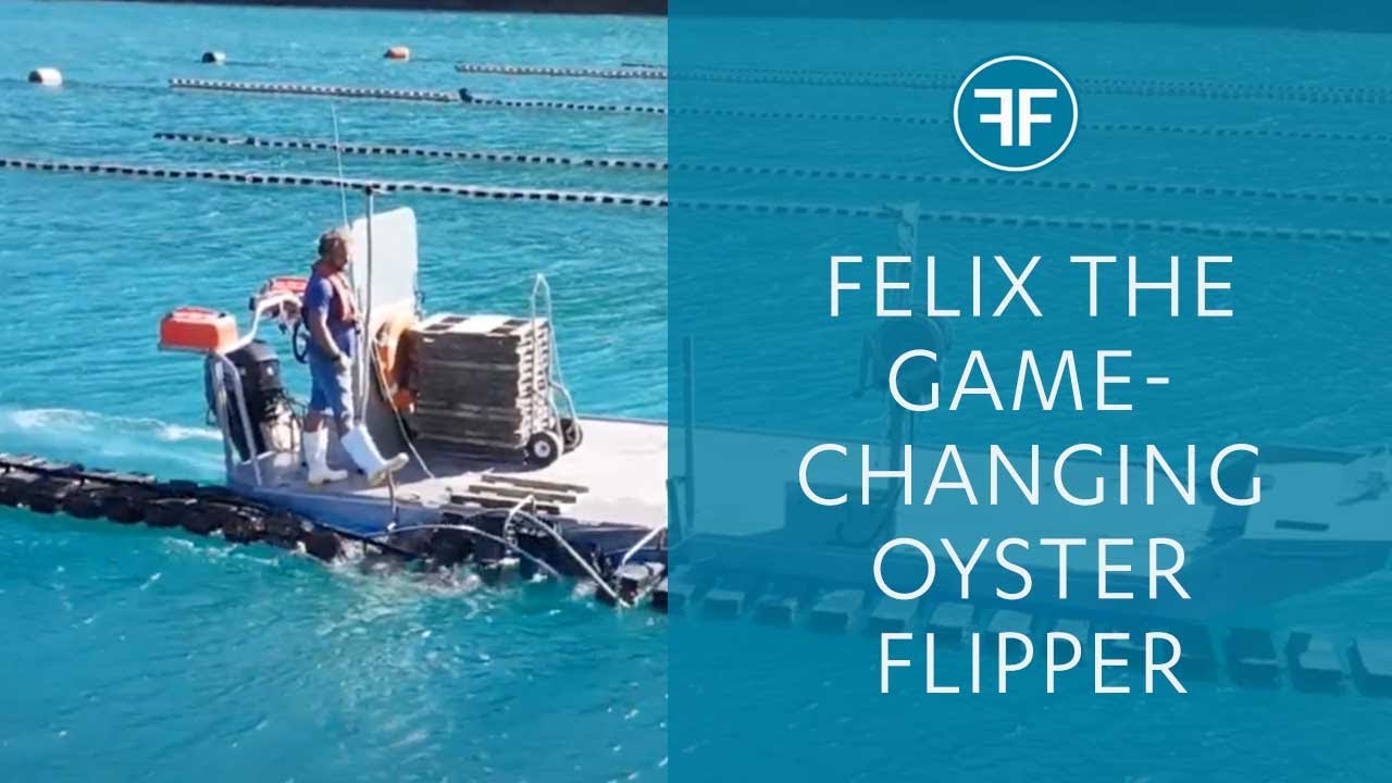 FlipFarm oyster system meet FELIX our helix flipper! YouTube