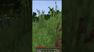 THIS GUY IS FOLLOWING ME || The Obsessed Mod #minecraft #shorts