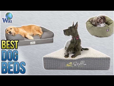 10-best-dog-beds-2018
