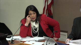 Topeka City Council 11 15 2016 Part 1