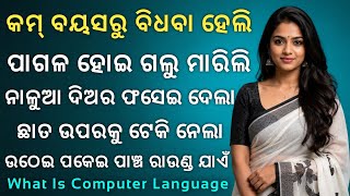 Definition Of Computer language And Types Of Computer language || Computer Language Means And Types