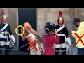 Disrespectful what this family did to the kings guard will shock you 