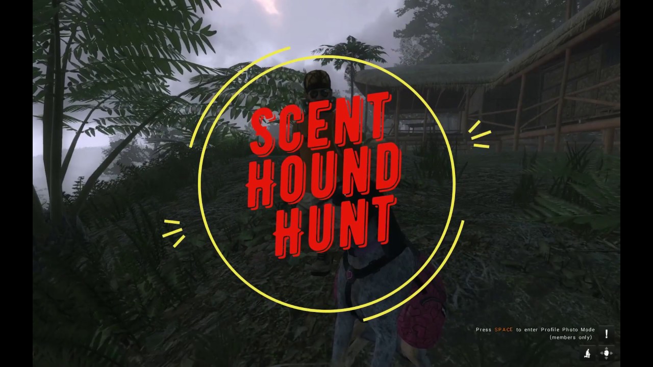 Scent Hound Hints and Tips Hunt YouTube