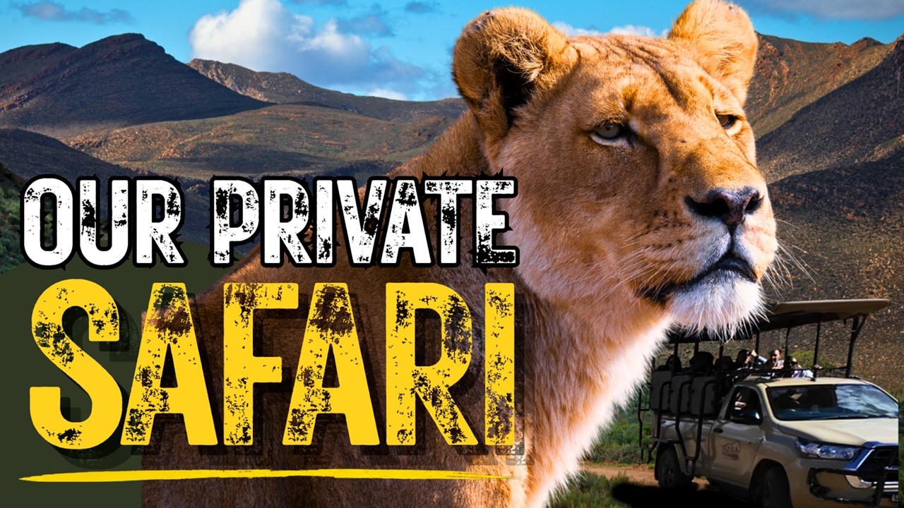 Our Private African Safari | Aquila Game Reserve from Cape Town