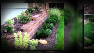 Landscape Design - School Wildlife Ponds