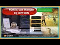 ¿Cómo invertir en Forex en México?