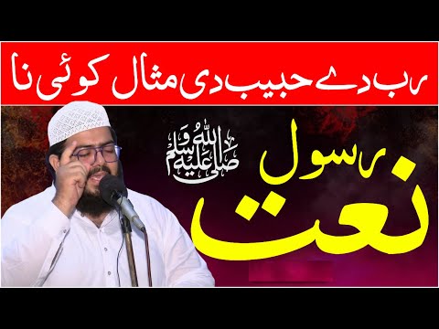 Naat Sharif Rab Dy Habib Di Misal Koi Naa Peacefulislamicshorts Naat NaatStatus Islamicvideos