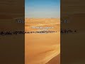From the heart of Islamic civilization #shorts