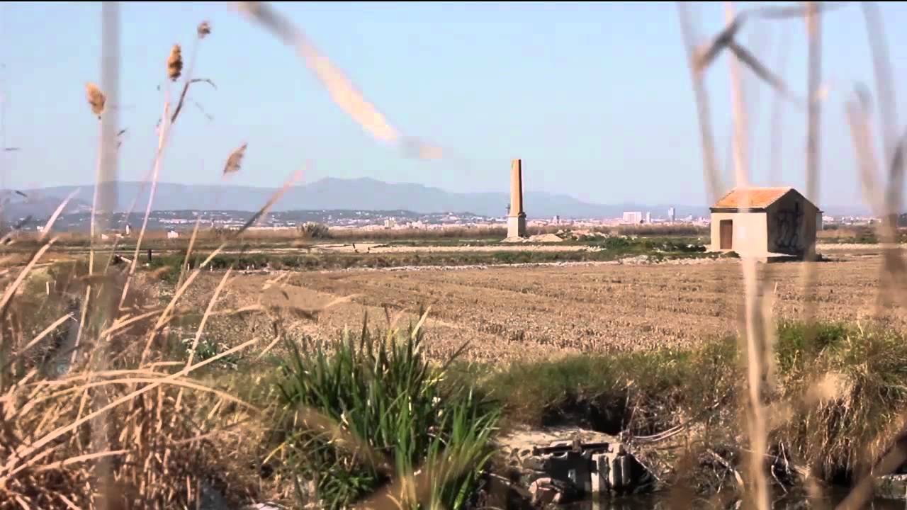 Parque Natural de La Albufera