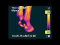 Tom Ivers: Equine Sports Medicine Interval Training - Thermography Scans 2nd Edition