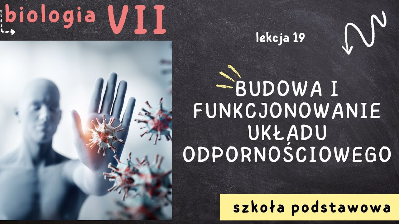 Funkcjonowanie Organizmów Sprawdzian Kl 6 Przyrodo Witaj