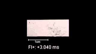 Laser and Photoflash Ignition of High-Nitrogen Materials