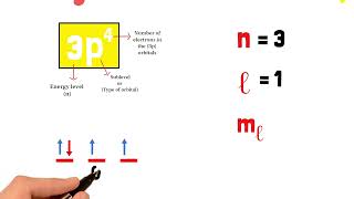Quantum Number II