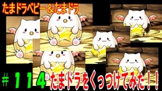 【パズドラ】たまドラが手に入ったので、くっつけて合成覚醒させてみた!!【パズドラ動画第114回目】 【パズドラ】たまドラが手に入ったので、くっつけて合成覚醒させてみた!!【パズドラ動画第114回目】