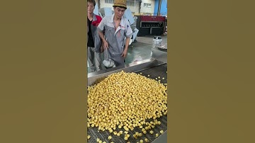 How to make creamy popcorn using popcorn production line?#shorts#popcorn#snack