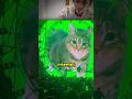 The Sad Story of the Spinning Cat Meme