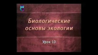 Урок 10. Мир экологических взаимоотношений(Биологические основы экологии. Евгений Гладков. Образование для всех. Первый образовательный канал. ©..., 2015-02-22T06:39:43.000Z)