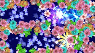 Interactive slide.  Flowers