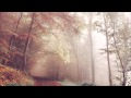 【作業用BGM】ヒーリングBGM♪儚くも美しいピアノの旋律が心を癒すピアノバラード♪-relax&healing-
