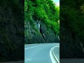 حروبي مع اصحابي بتمشي دلا دلا كلمات الشاعر يوسف شذان 