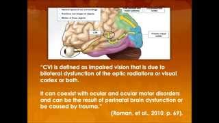 Cortical Visual Impairments