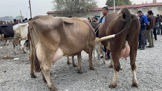 видео: 23 сентября 2025 г АНДИЖОН ШАХРИХОН ЧУЖА МОЛ БОЗОРИ СИГИРЛАР БУГОЗЛАР НАРХЛАРИ ANDIJON SHAXRIHON MOL картинка: 23 сентября 2025 г АНДИЖОН ШАХРИХОН ЧУЖА МОЛ БОЗОРИ СИГИРЛАР БУГОЗЛАР НАРХЛАРИ ANDIJON SHAXRIHON MOL