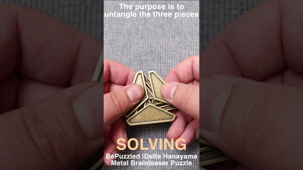 BePuzzled |Delta Hanayama Metal Brainteaser Puzzle Mensa Rated Level 3
