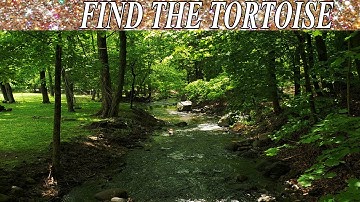 Can You Find The Hidden Objects | 99% Fail | New Game | Brain Teaser | Mind Booster