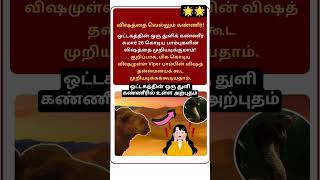 ஒட்டகத்தின் கண்ணீரில் இருக்கும் அற்புதம்#astrology#sivaya#hindudeity#divine#motivation#hindugod#ஓம்