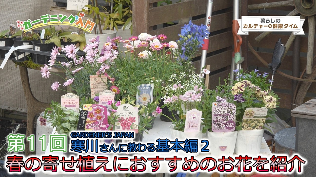 フラワー・ガーデニング Hoa Lifestyle Culture Time: Introduction to Gardening, Part 11 - YouTube