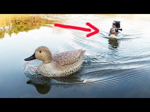 RC Duck boat - YouTube