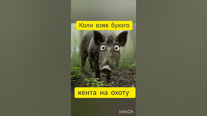 Коли взяв бухого кєнта на охоту 😁 #приколизтваринами #jokes #приколи #мем #бухой #кент #бухойкент