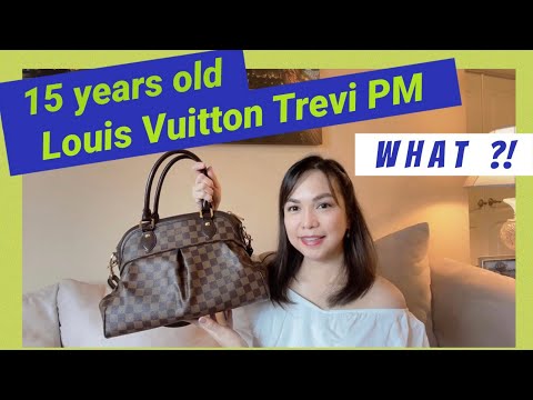 Louis Vuitton Damier Ebene Trevi Review 
