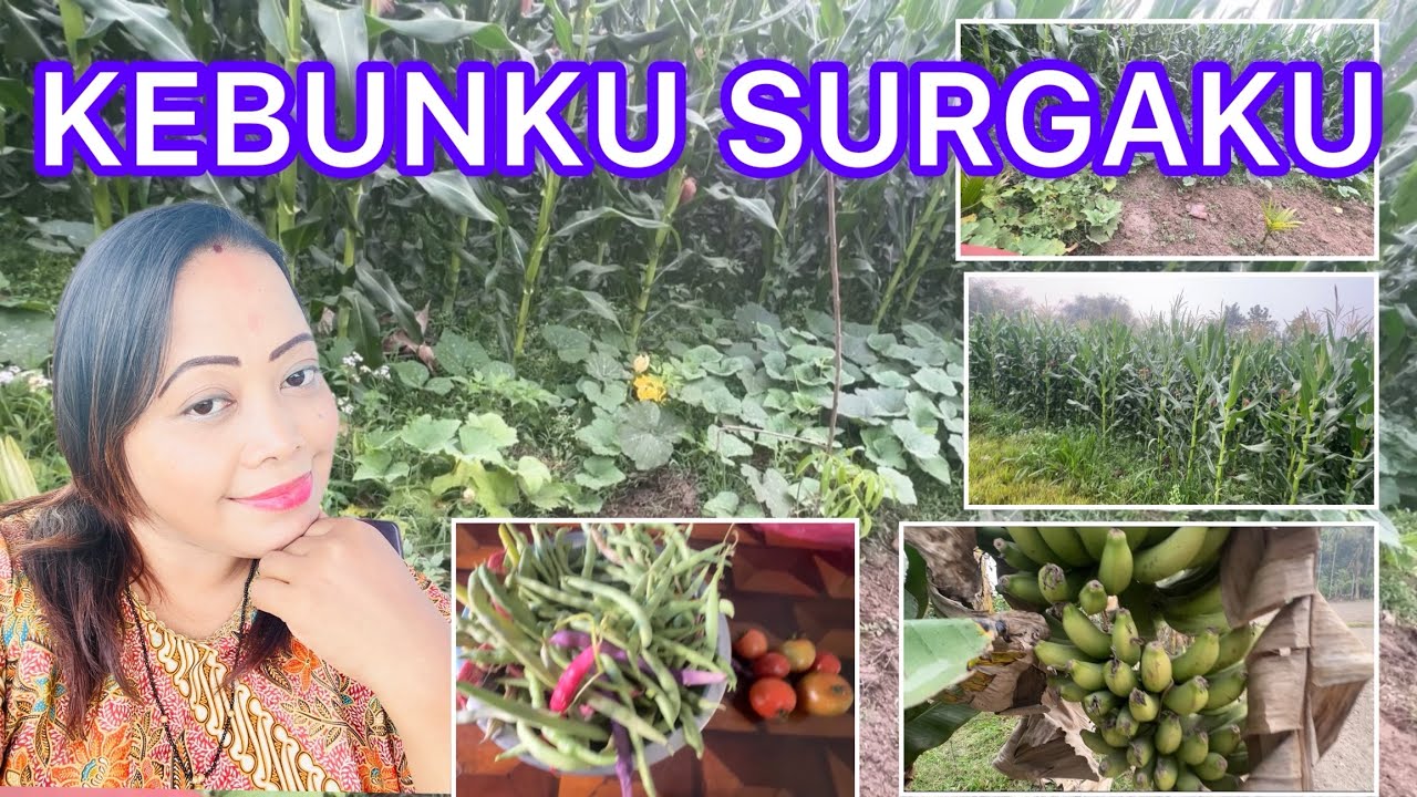 ВИДЕОБЛОГ 45. МОЙ САД, МОЙ РАЙ @AngeliaRomie