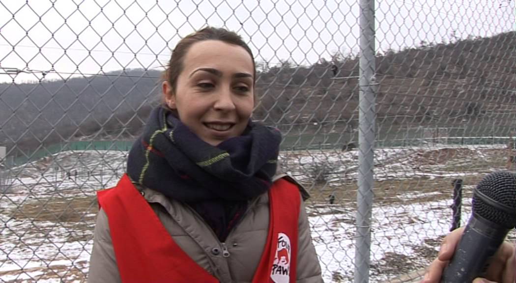 Parku - Pylli i arinjve ne Prishtine - Reportazh nga Besart Galica