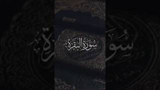 Bakara Suresi̇ 185. Ayet Ahmet Khedr