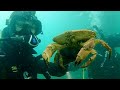 SCUBA Diving for Treasure in the UK! (Treasure Hunting Road Trip PT3)