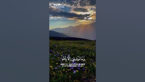 قرآن كريم بصوت القارئ: مشاري العفاسي|| أجمل حالات واتس اب دينيه || تلاوة خاشعة 🌿