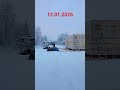 Стройка😉#каркасник #pets #snow #зима #природа #winter#hamster  #частныедома