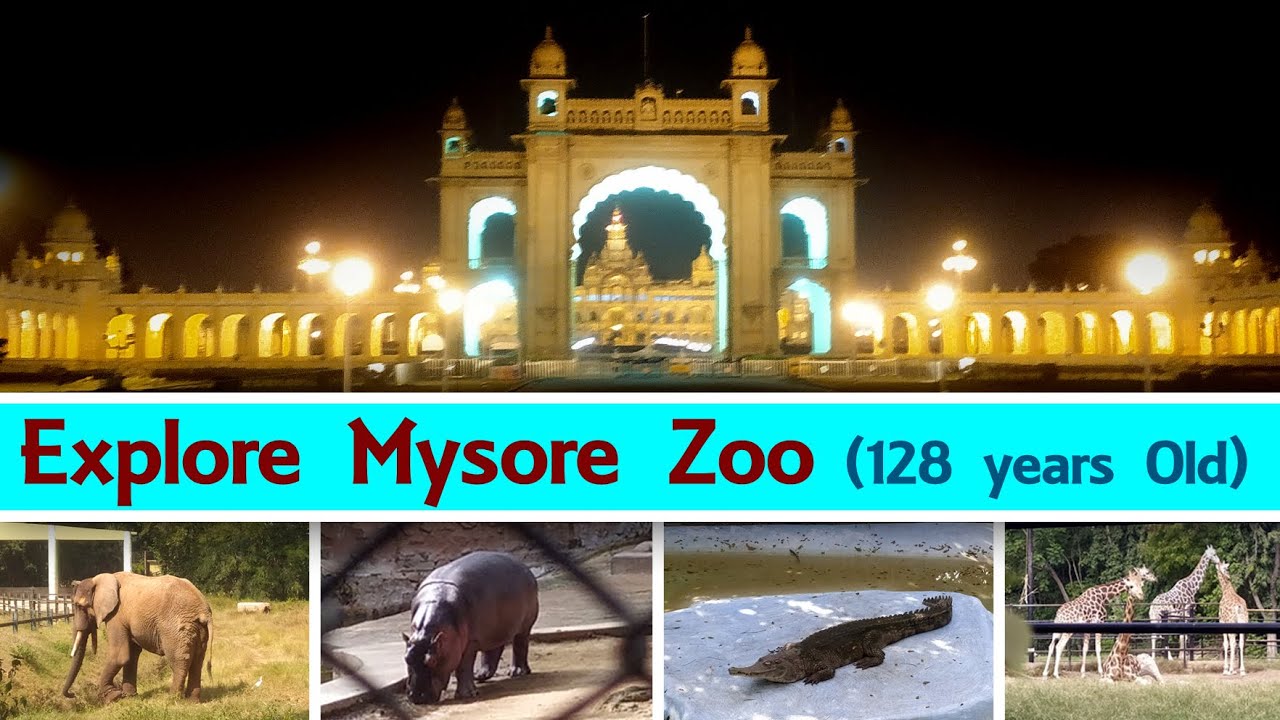 mysore zoo tourist places