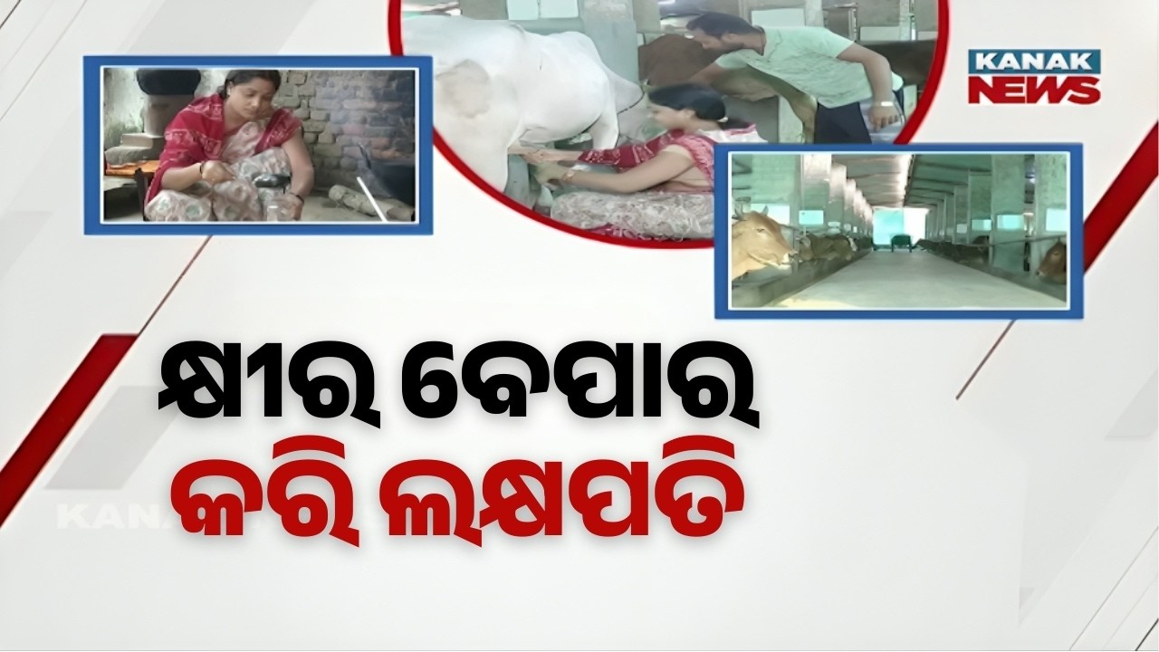 15 Lakhs Yearly Income! Meet Sundargarh’s Sima Naik: A Successful Dairy Farmer’s Story