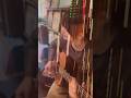 「革命道中」アイナ・ジ・エンド #ダンダダン #アイナジエンド #弾き語り #guitar #gibson 歌ってみた #animesong #japanesemusic