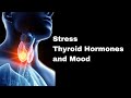 Stress, Thyroid, Hormones, and Mood