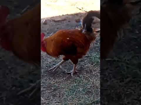 الله ارحم الشهداء زلزال المغرب المغرب رحمتك يارب 